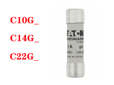 IEC标准10*38mm C10G12 C10G10 C10G1 C10G0.5 C10G4 C10G32 C10G8 C10G6 C10G20 C10G25 C10G16 C10G2